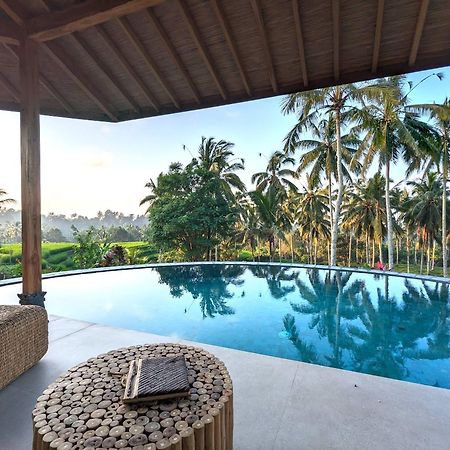 Puri Dajuma Terrace Eco Lodge & Spa Selemadeg  المظهر الخارجي الصورة