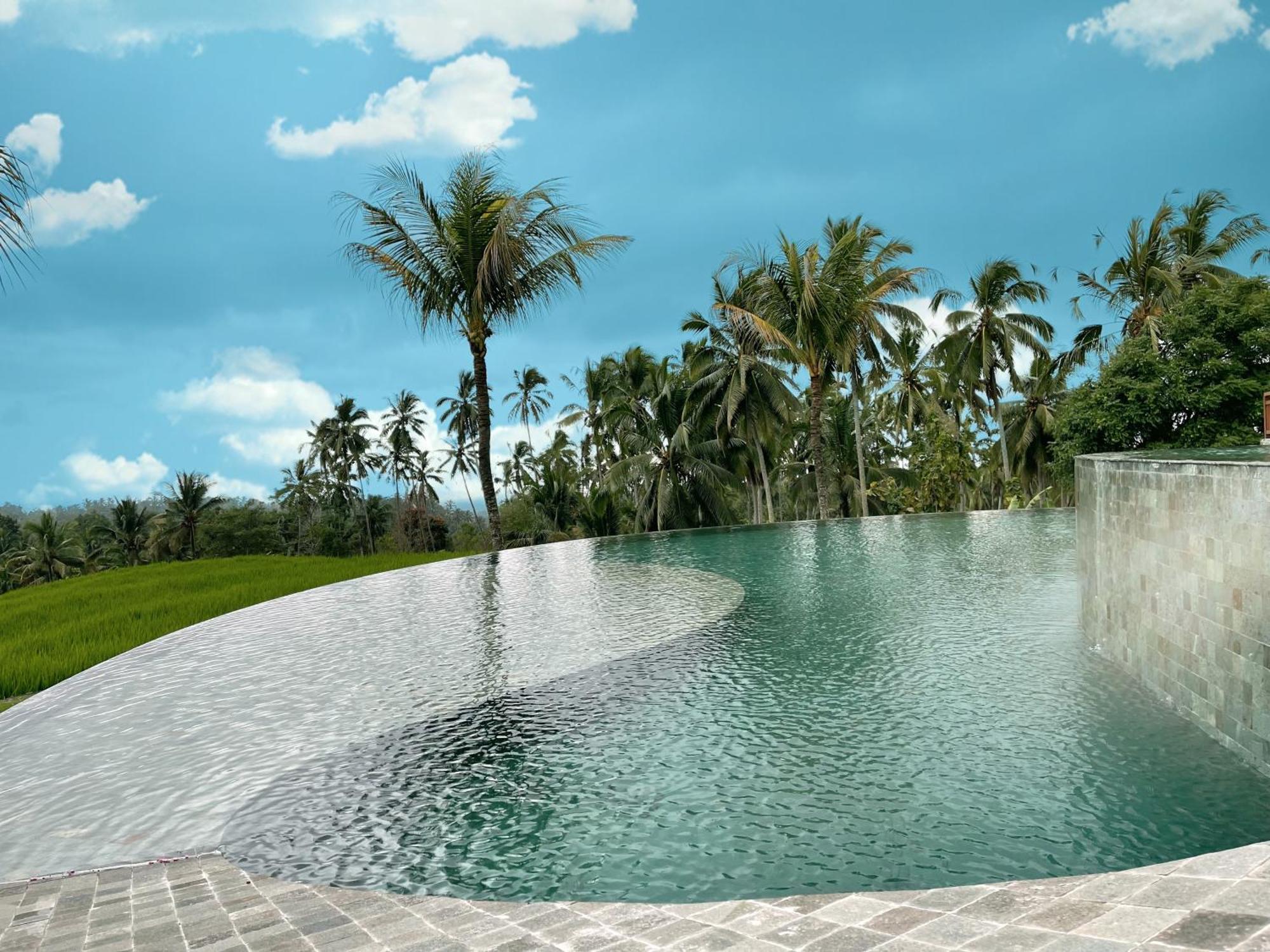 Puri Dajuma Terrace Eco Lodge & Spa Selemadeg  المظهر الخارجي الصورة