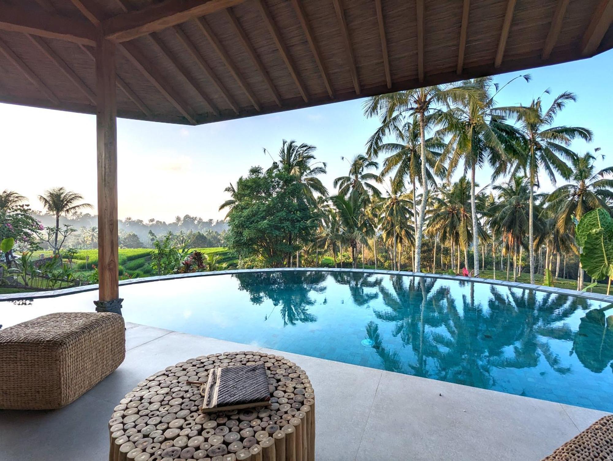 Puri Dajuma Terrace Eco Lodge & Spa Selemadeg  المظهر الخارجي الصورة
