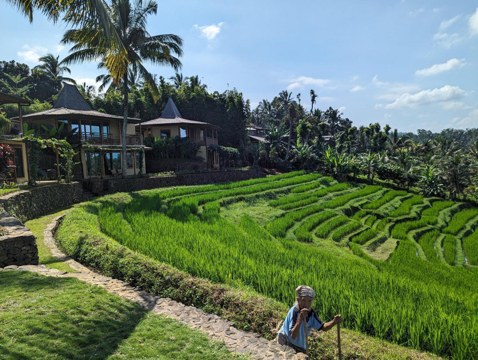 Puri Dajuma Terrace Eco Lodge & Spa Selemadeg  المظهر الخارجي الصورة
