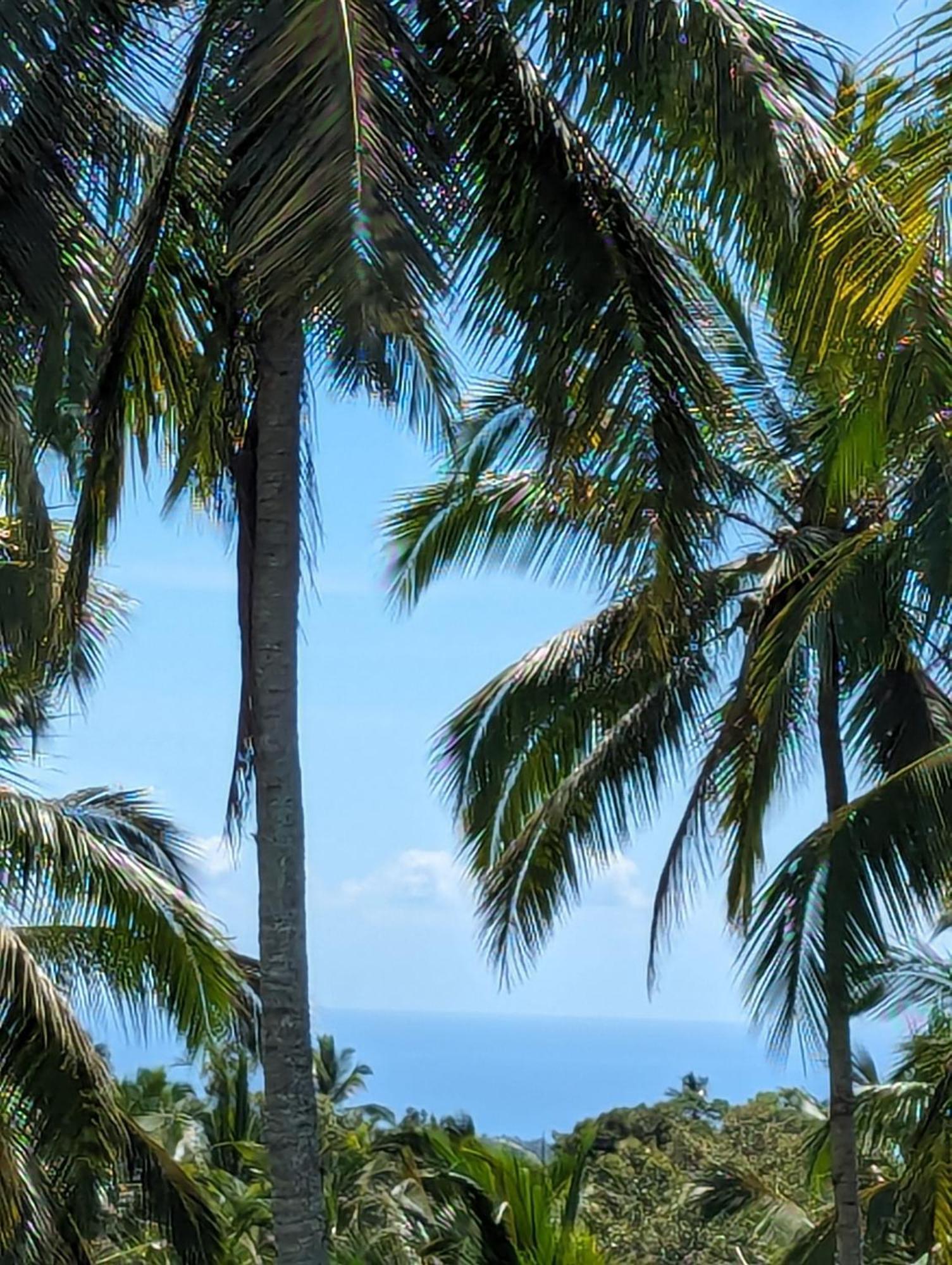 Puri Dajuma Terrace Eco Lodge & Spa Selemadeg  المظهر الخارجي الصورة