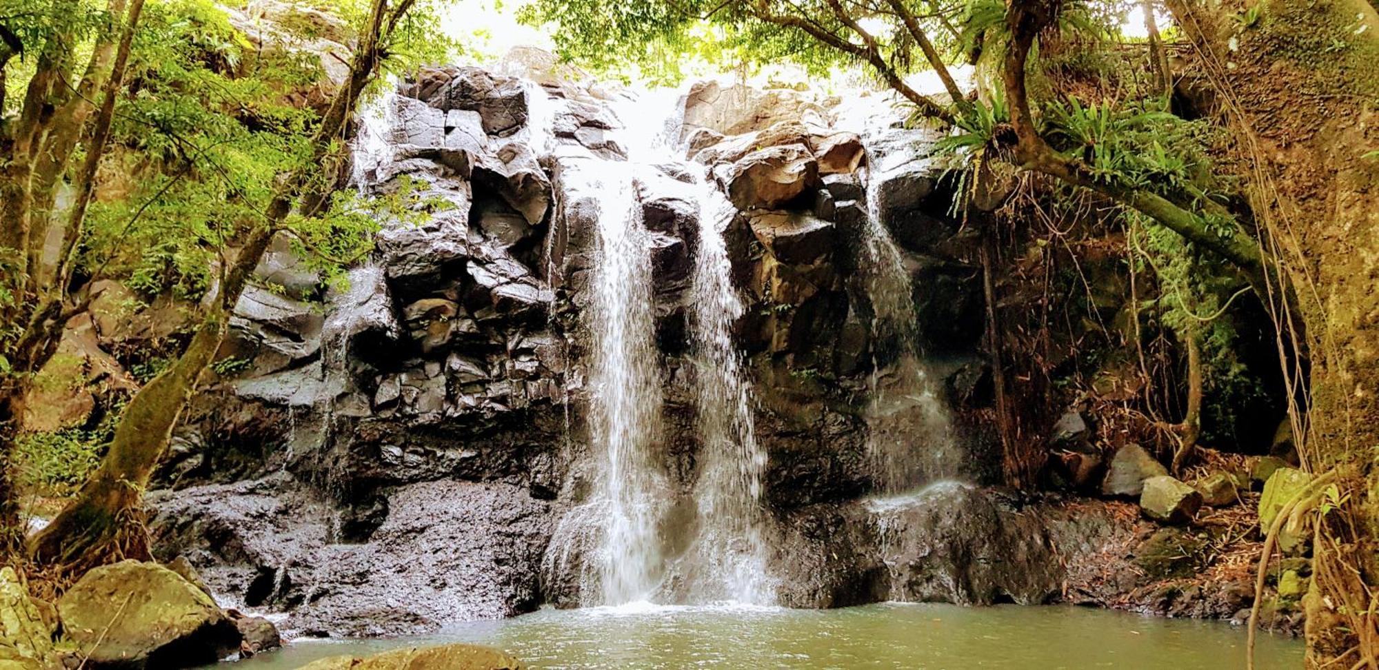 Puri Dajuma Terrace Eco Lodge & Spa Selemadeg  المظهر الخارجي الصورة