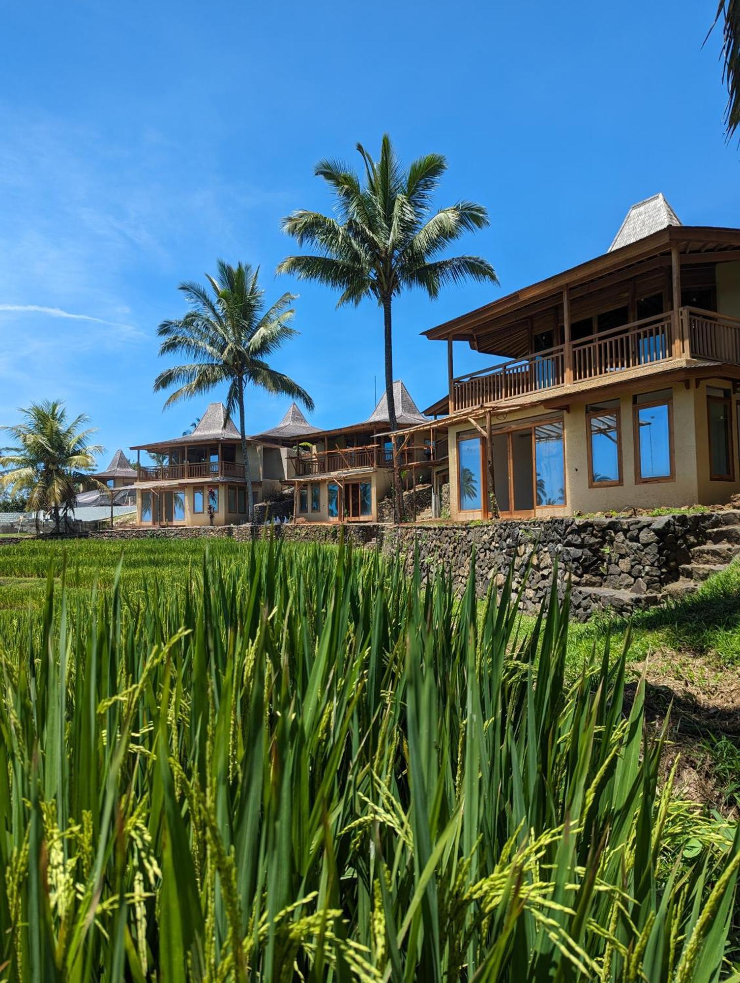 Puri Dajuma Terrace Eco Lodge & Spa Selemadeg  المظهر الخارجي الصورة