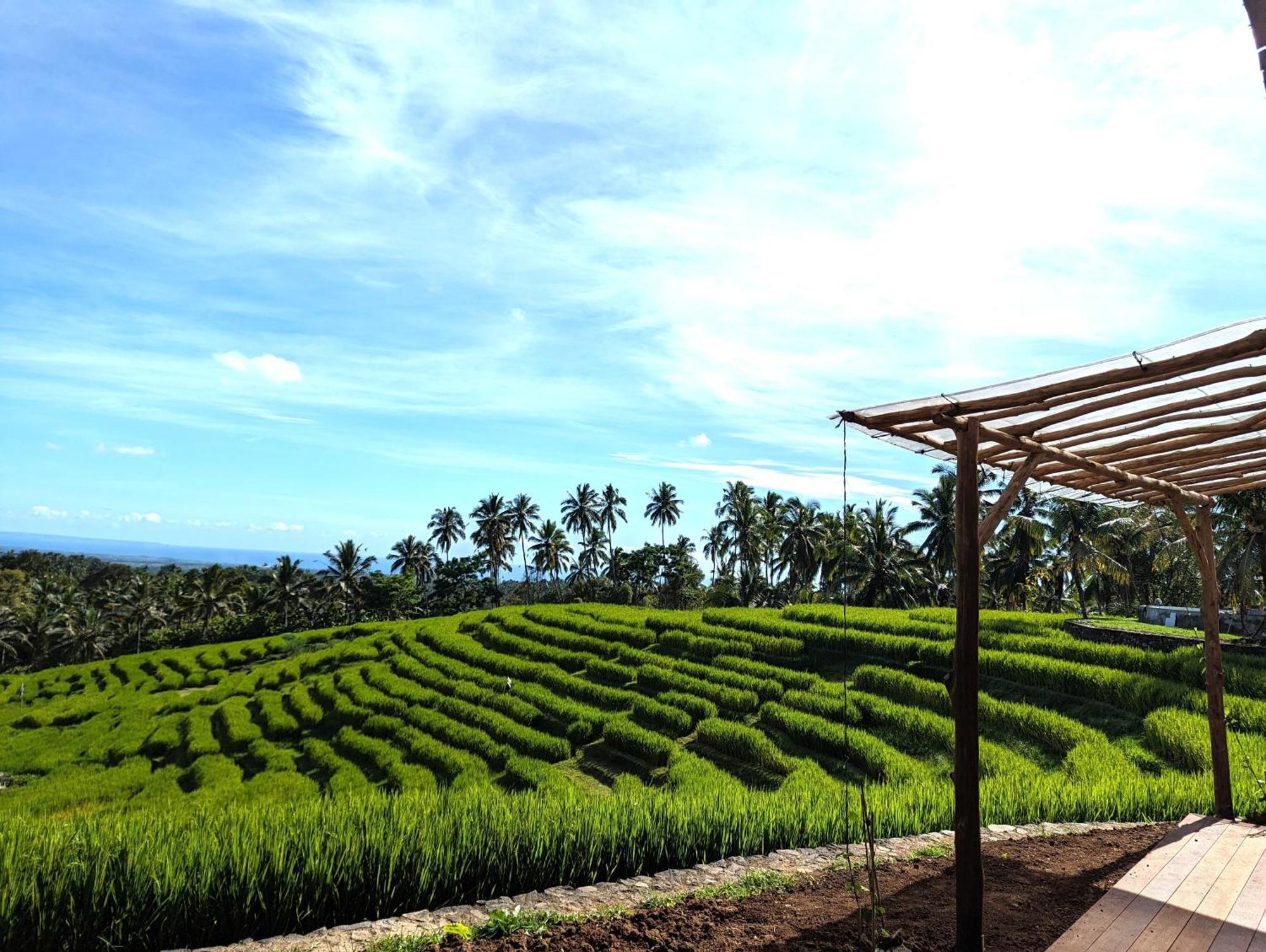 Puri Dajuma Terrace Eco Lodge & Spa Selemadeg  المظهر الخارجي الصورة