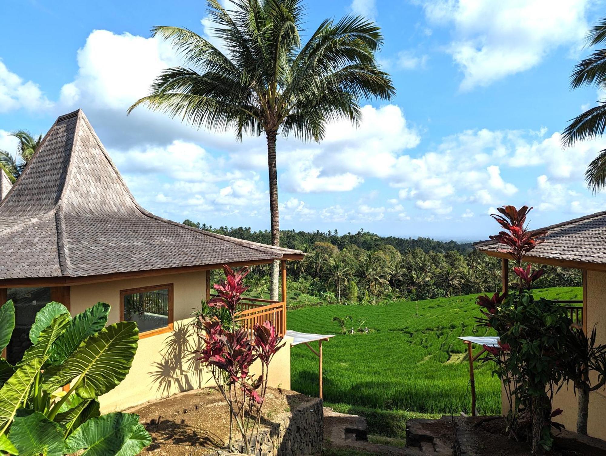 Puri Dajuma Terrace Eco Lodge & Spa Selemadeg  المظهر الخارجي الصورة