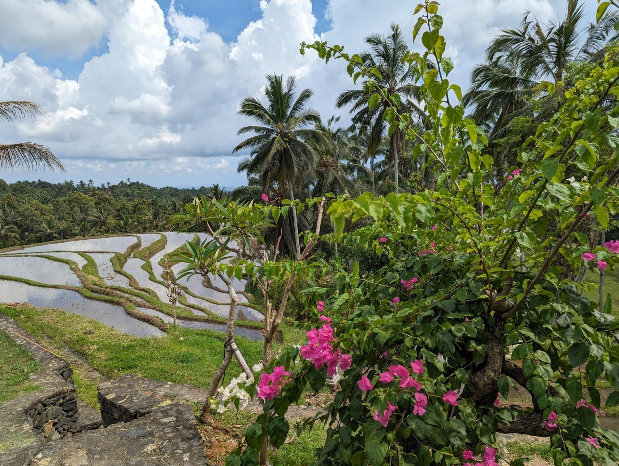 Puri Dajuma Terrace Eco Lodge & Spa Selemadeg  المظهر الخارجي الصورة