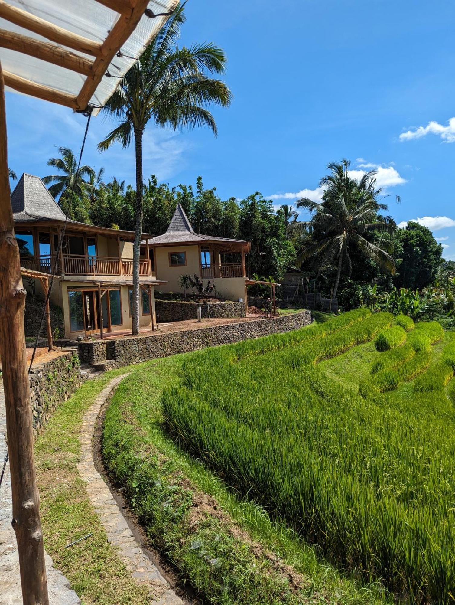 Puri Dajuma Terrace Eco Lodge & Spa Selemadeg  المظهر الخارجي الصورة