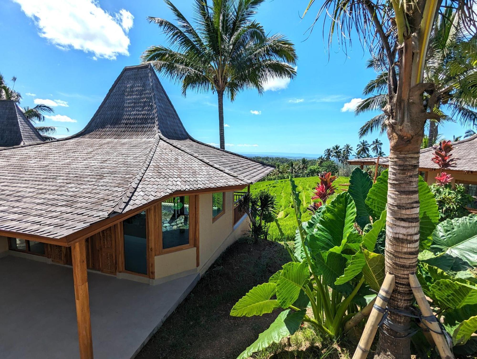 Puri Dajuma Terrace Eco Lodge & Spa Selemadeg  المظهر الخارجي الصورة